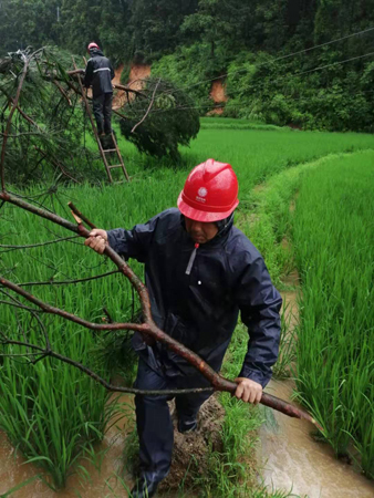 多地遭遇持续强降雨侵袭 公司全力以赴保障电力供应