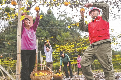 向着胜利冲刺